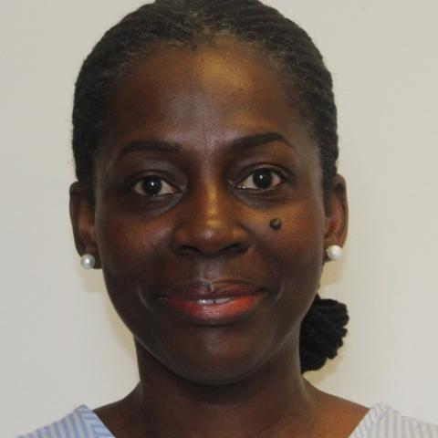Sylvia Kusi-Appouh, Parent Governor