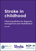 Stroke Guideline 2017