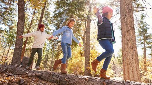 Children play in the woods