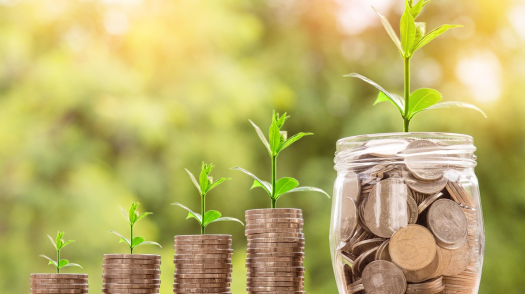 Plants growing out of the top of a jar full of currency and four smaller piles of coins
