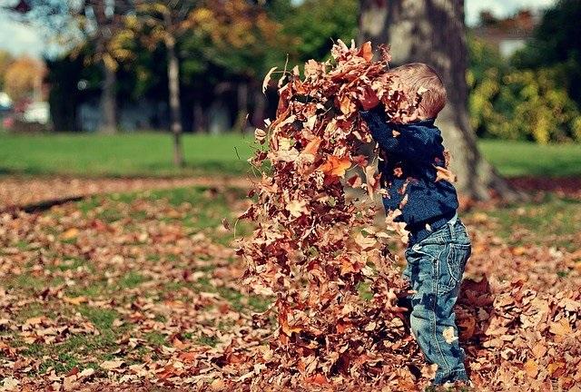 Boy with leaves