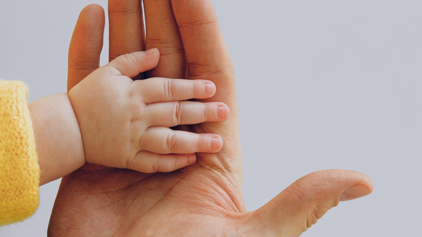 Baby and adult hands