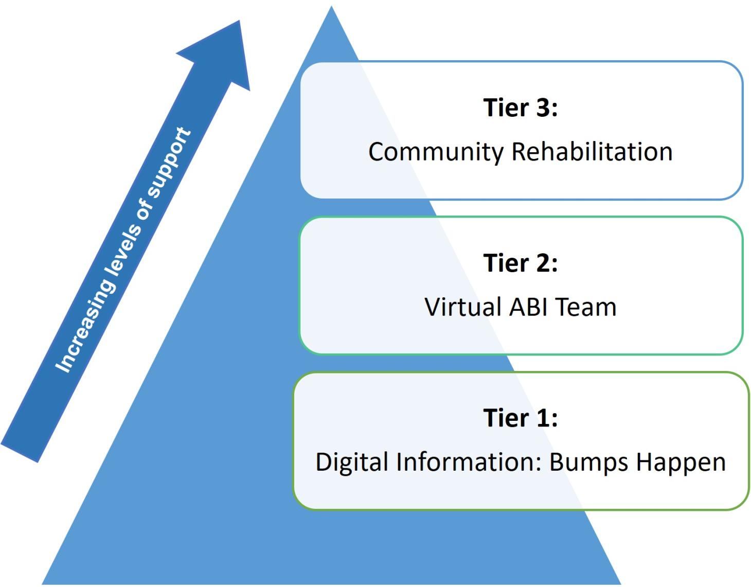 Community Rehabilitation Service model