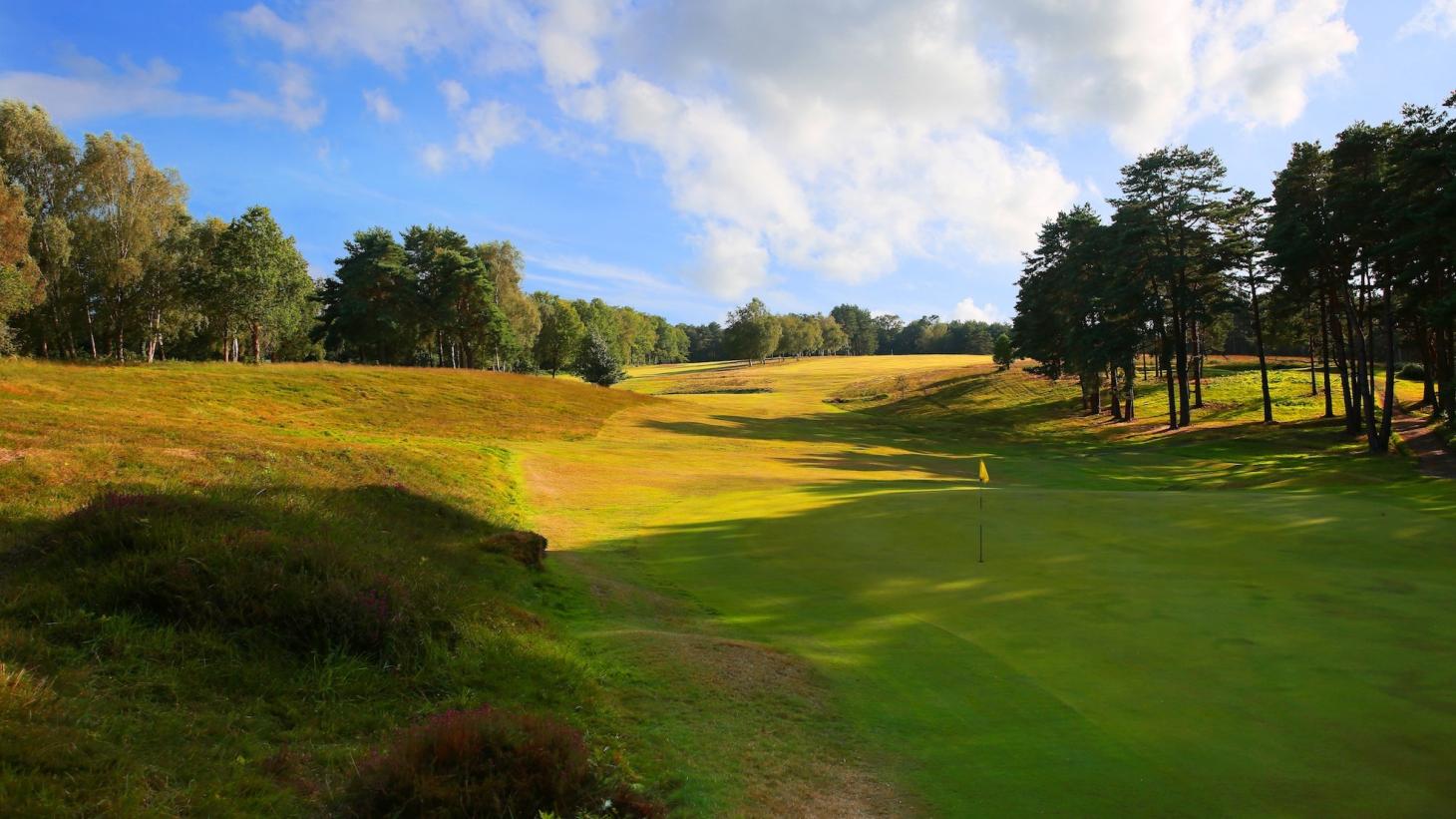 Royal Ashdown Forest Golf Club