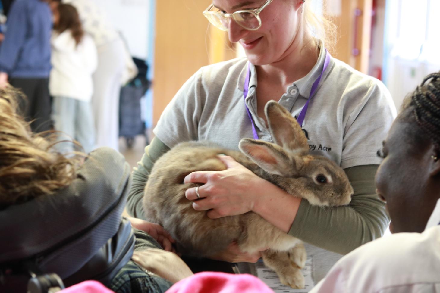 girl holding a brown rabbit 