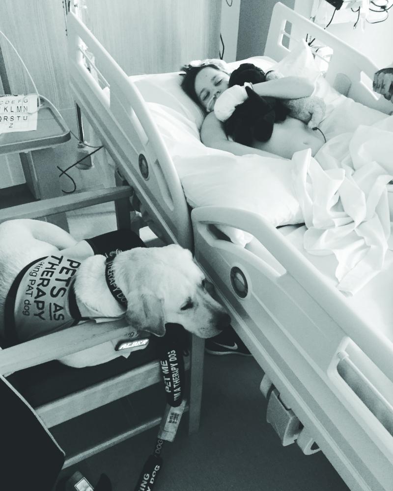 Joey in hospital