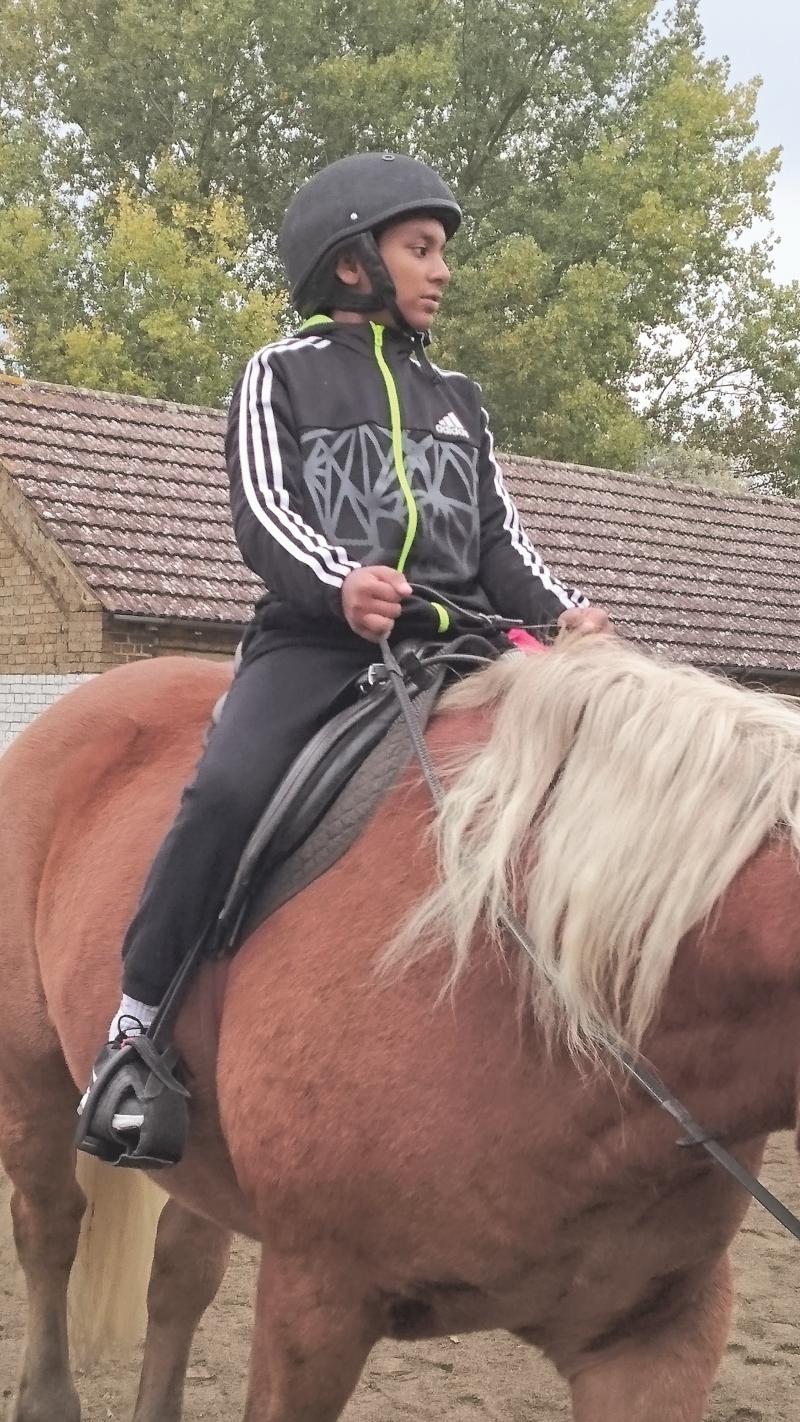 Velstrin horse riding