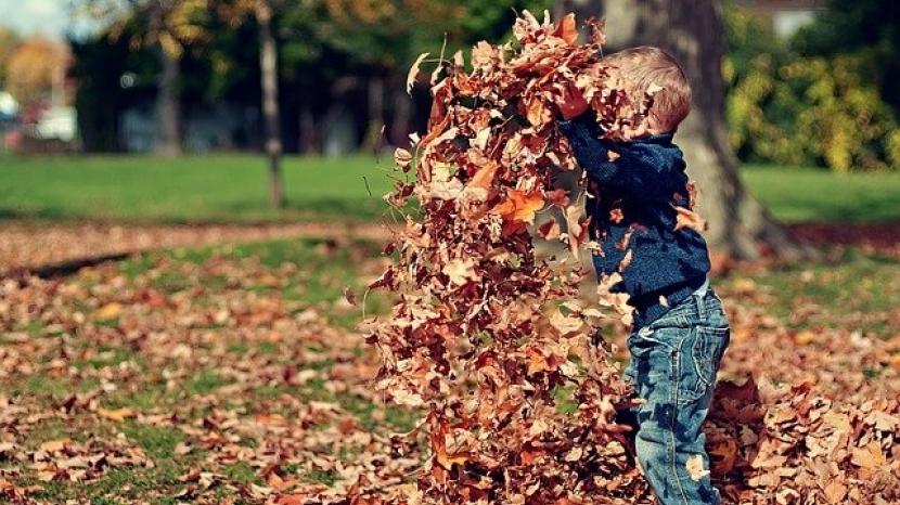 Boy with leaves