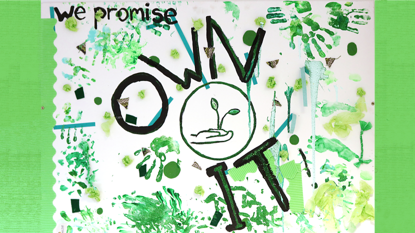 Own It promise