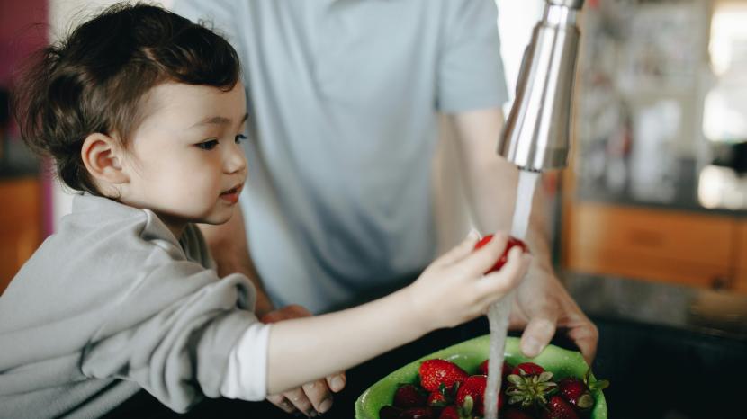 A toddler washing strawberries under a tap